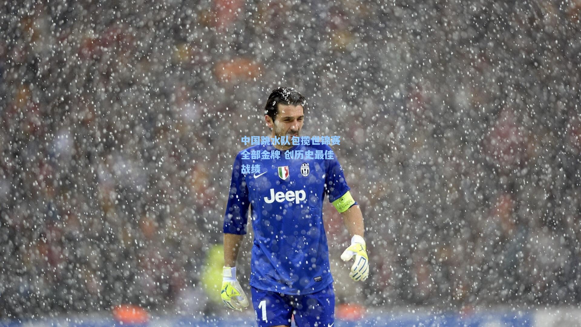 星空体育中国_中国跳水队包揽世锦赛全部金牌 创历史最佳战绩